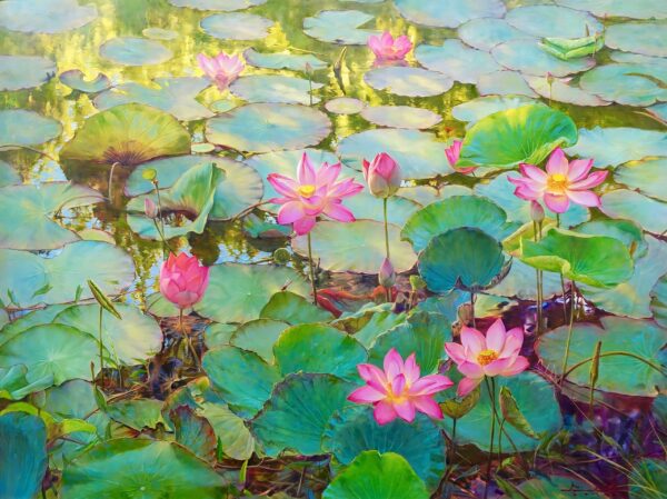 Ninfas de Agua y Lotos – Somchai Sawangsri Art Gallery Alpha House Gallery