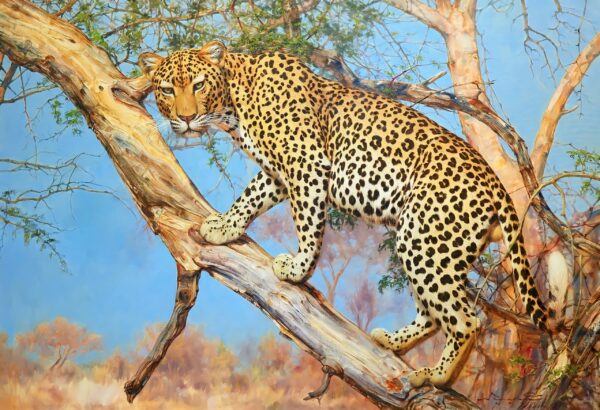 Leopardo en un Árbol – 160 x 110 cm Art Gallery Alpha House Gallery