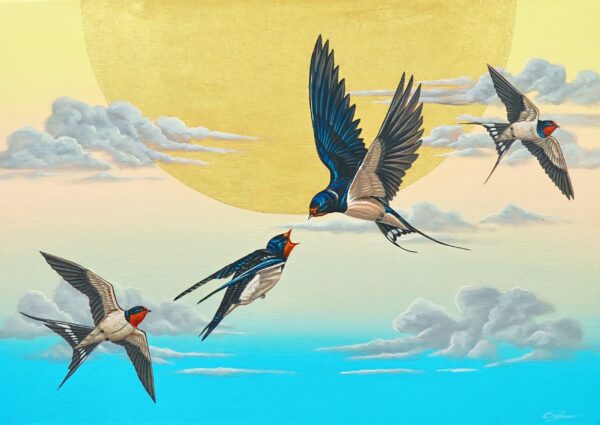 Golondrina en el cielo – 70 X 50 cm Art Gallery Alpha House Gallery