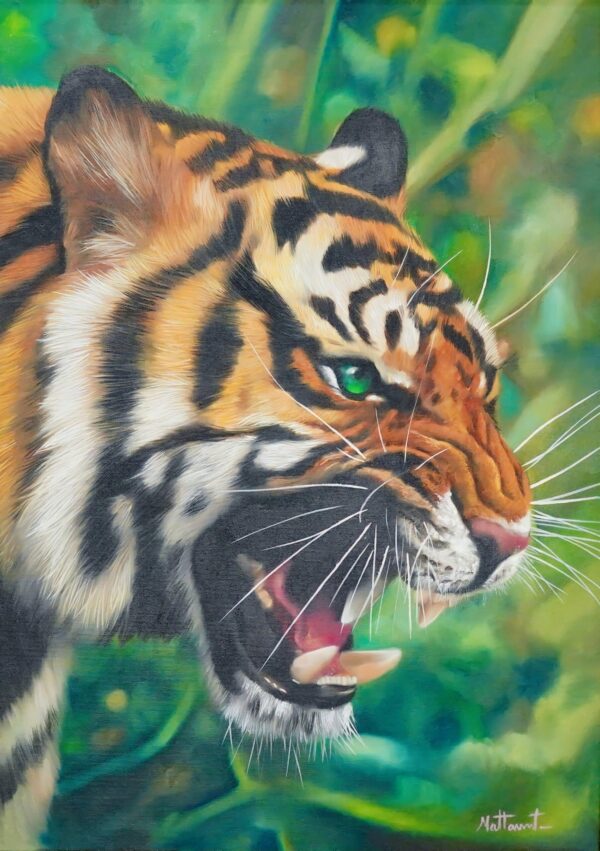 La Ira del Tigre – 50 x 70 cm Art Gallery Alpha House Gallery